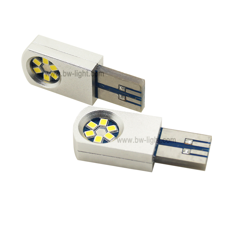 T10 Graue Canbus Auto LED-Lichtlampe